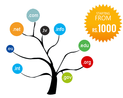 domain name registration