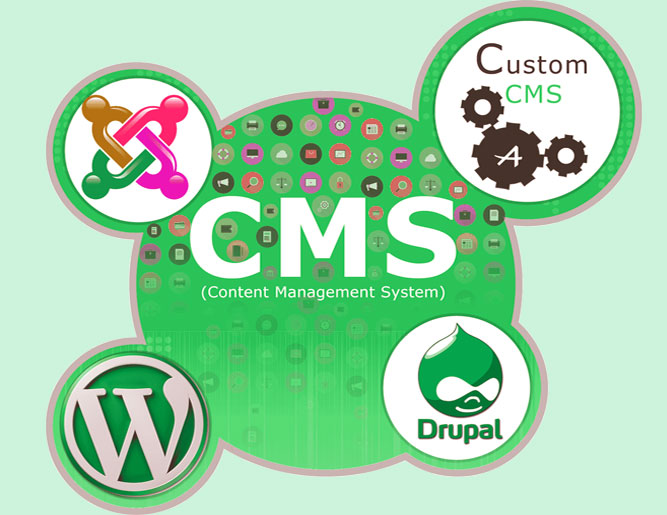 cms website design tirupur